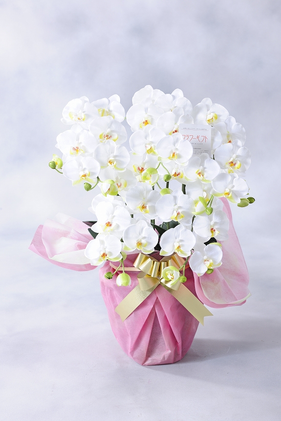 <p>同規格（サイズ）の生花に比べ割安なのも購入するメリットと言えます。</p>